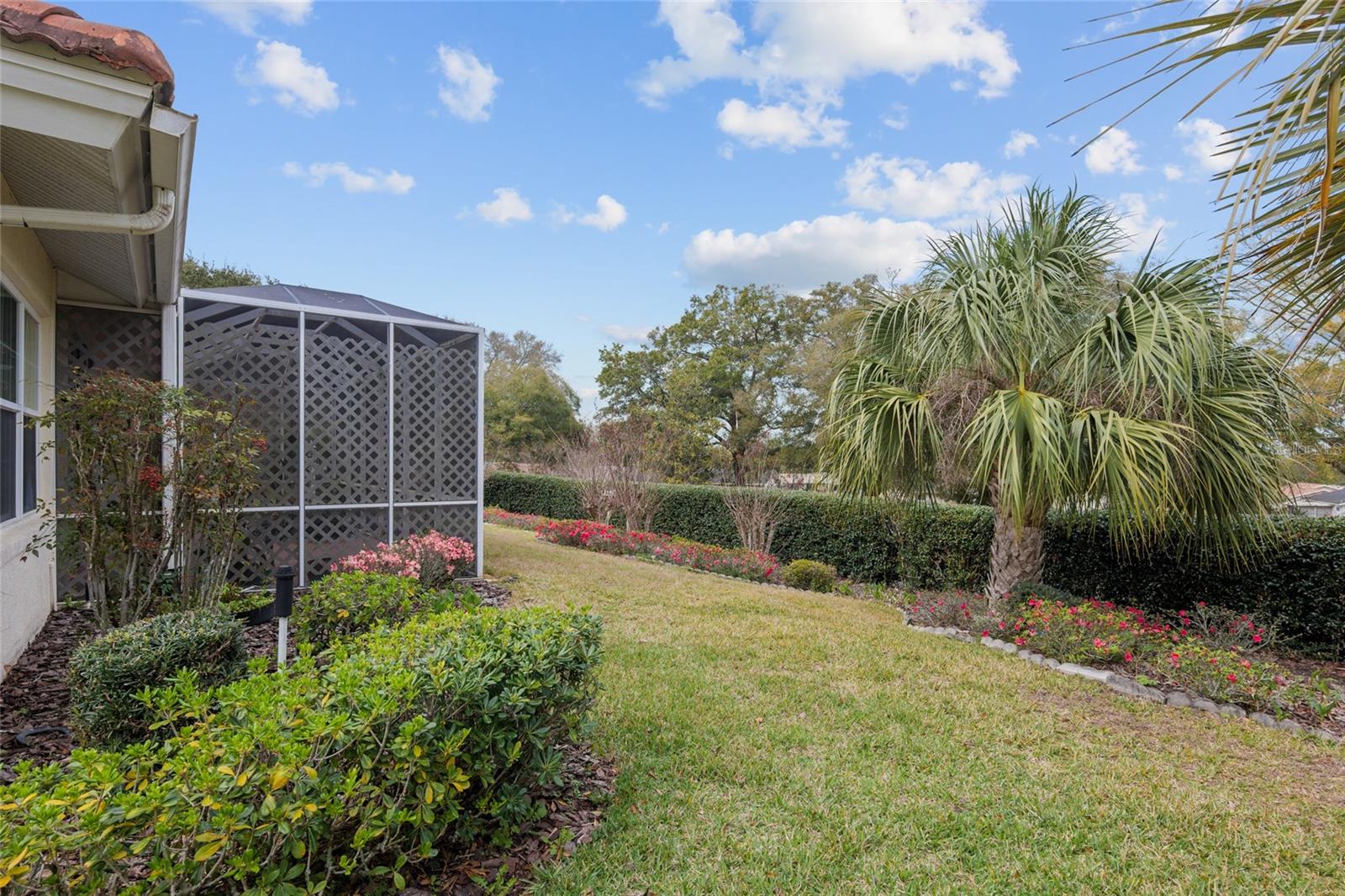 8223 SW 113TH LN, OCALA, FL, 34481