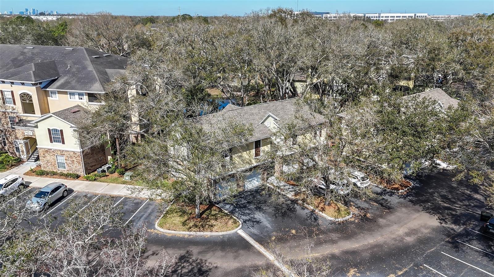 10115 COURTNEY PALMS BLVD #202, TAMPA, FL, 33619
