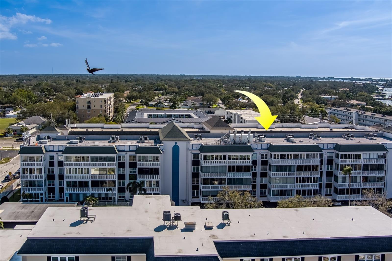 131 BLUFF VIEW DR #208, BELLEAIR BLUFFS, FL, 33770