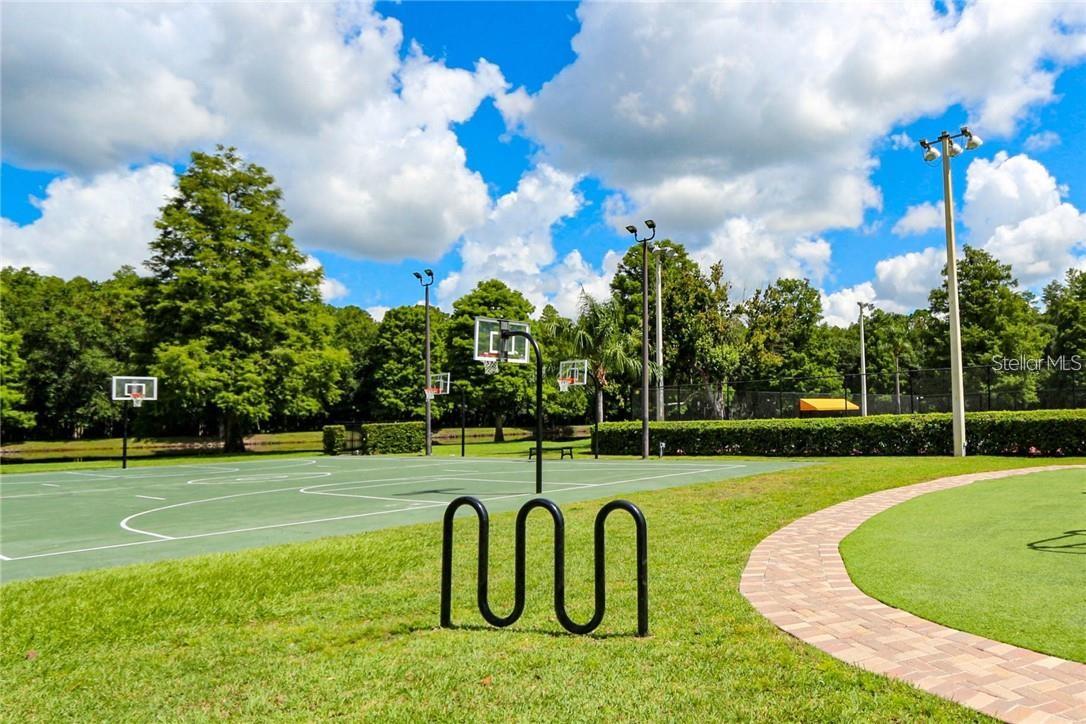 3571 EDINGTON WAY, PALM HARBOR, FL, 34685