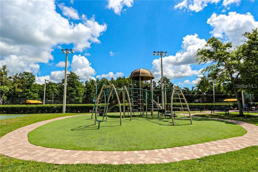 3571 EDINGTON WAY, PALM HARBOR, FL, 34685