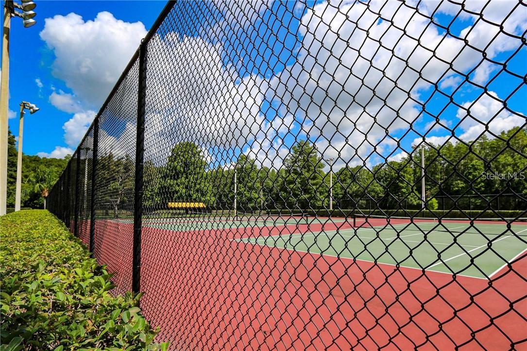 3571 EDINGTON WAY, PALM HARBOR, FL, 34685