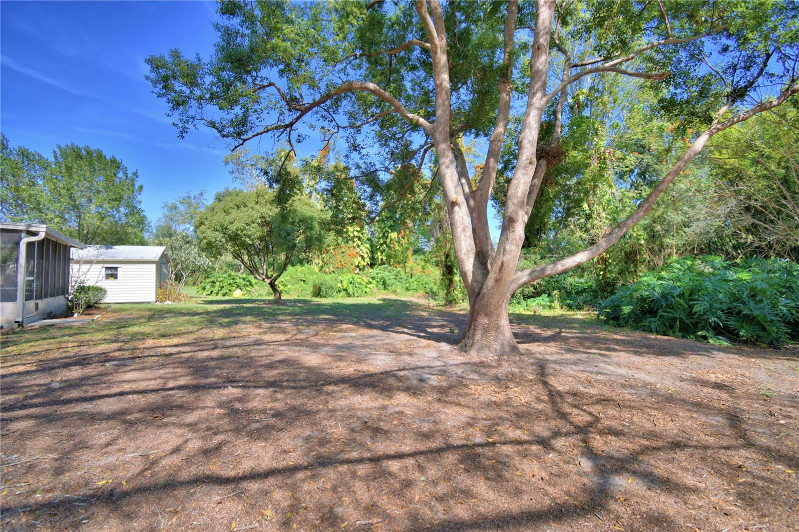 16 CEDAR DR, DAVENPORT, FL, 33837