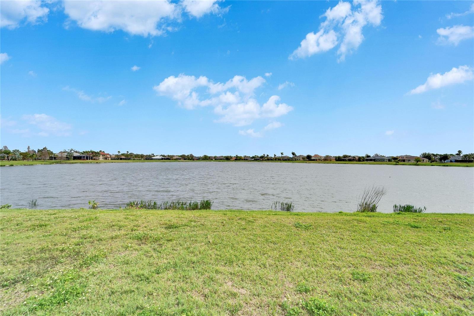 5325 SANDY SHELL DR, APOLLO BEACH, FL, 33572