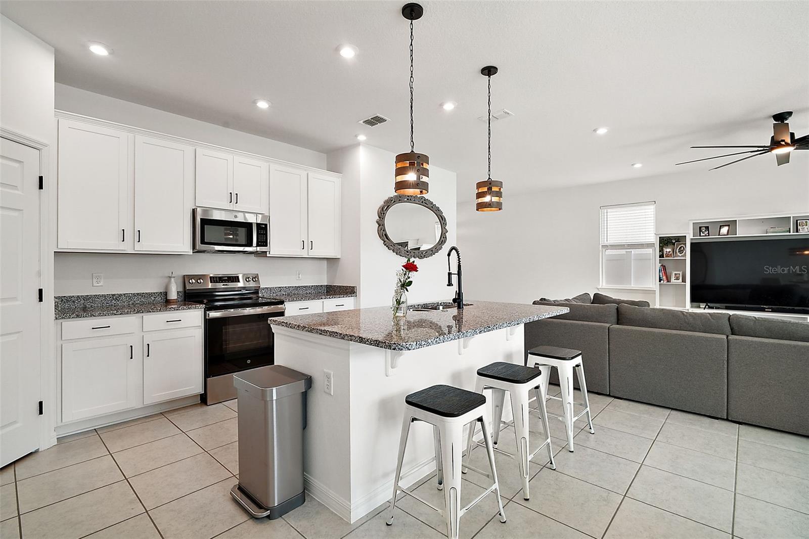 3040 TANSY ST, TAVARES, FL, 32778