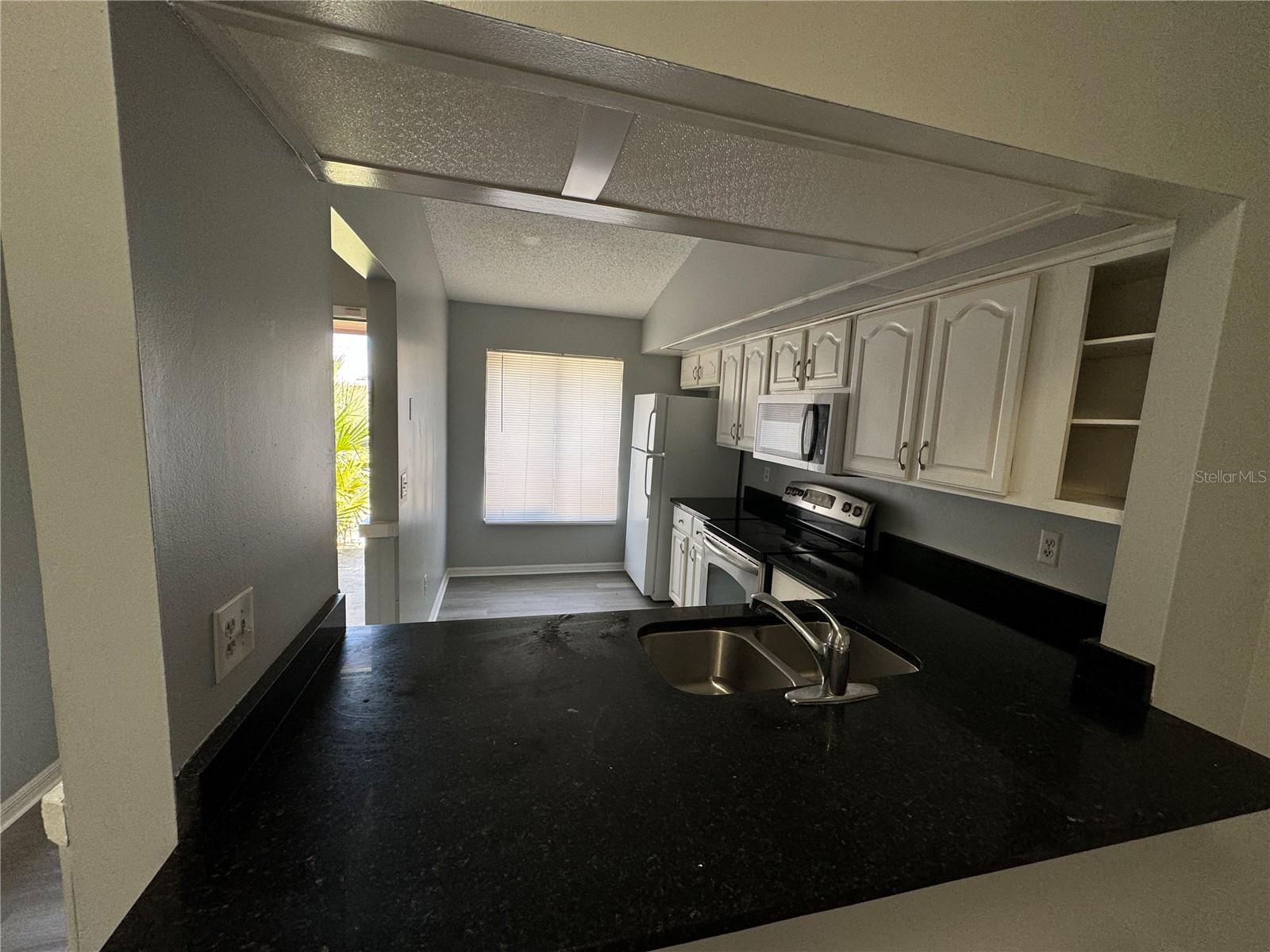 2808 WAXY WILLOW LN #2808, ORLANDO, FL, 32808