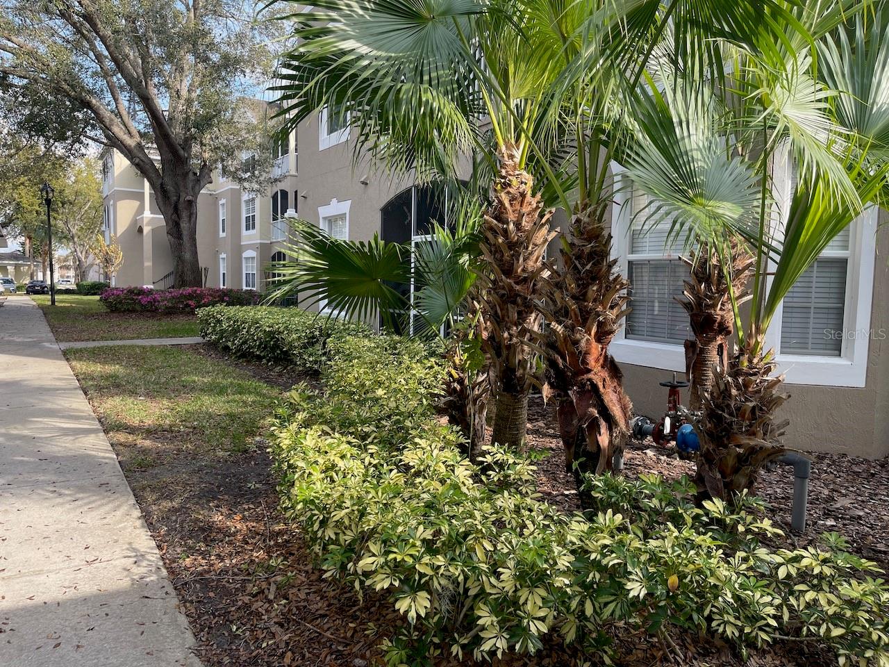 582 BRANTLEY TERRACE WAY #107, ALTAMONTE SPRINGS, FL, 32714