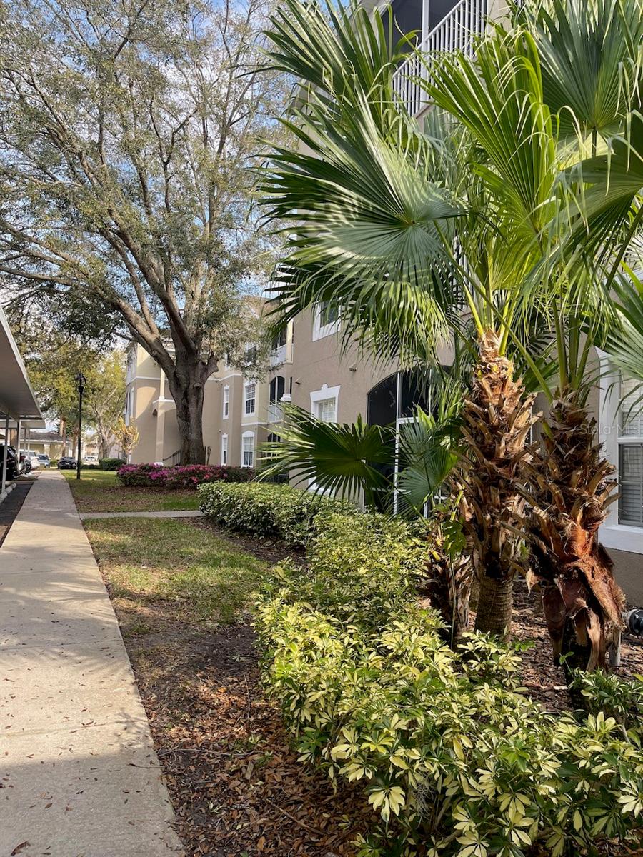 582 BRANTLEY TERRACE WAY #107, ALTAMONTE SPRINGS, FL, 32714