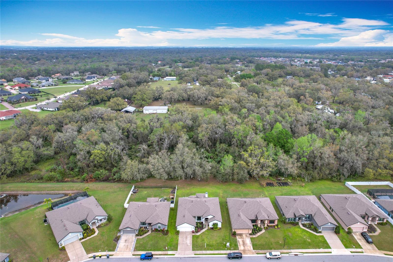 153 HERITAGE PARK LN, MULBERRY, FL, 33860