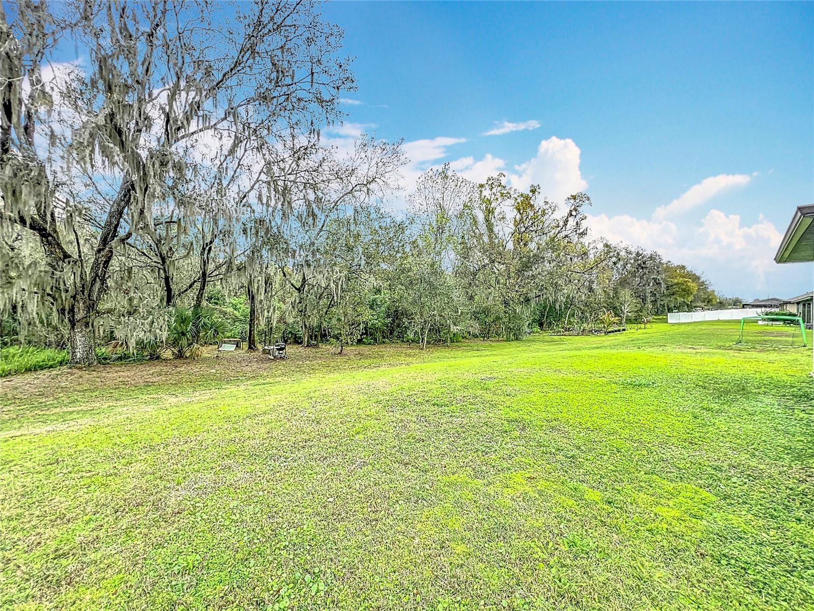 153 HERITAGE PARK LN, MULBERRY, FL, 33860