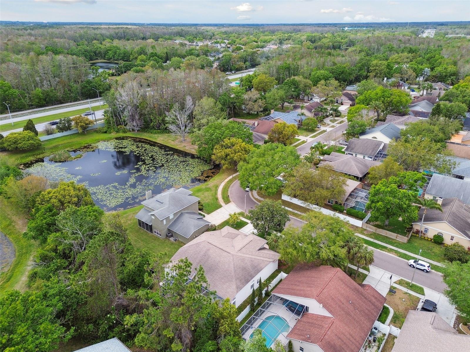 4874 EAGLE COVE SOUTH DR, PALM HARBOR, FL, 34685