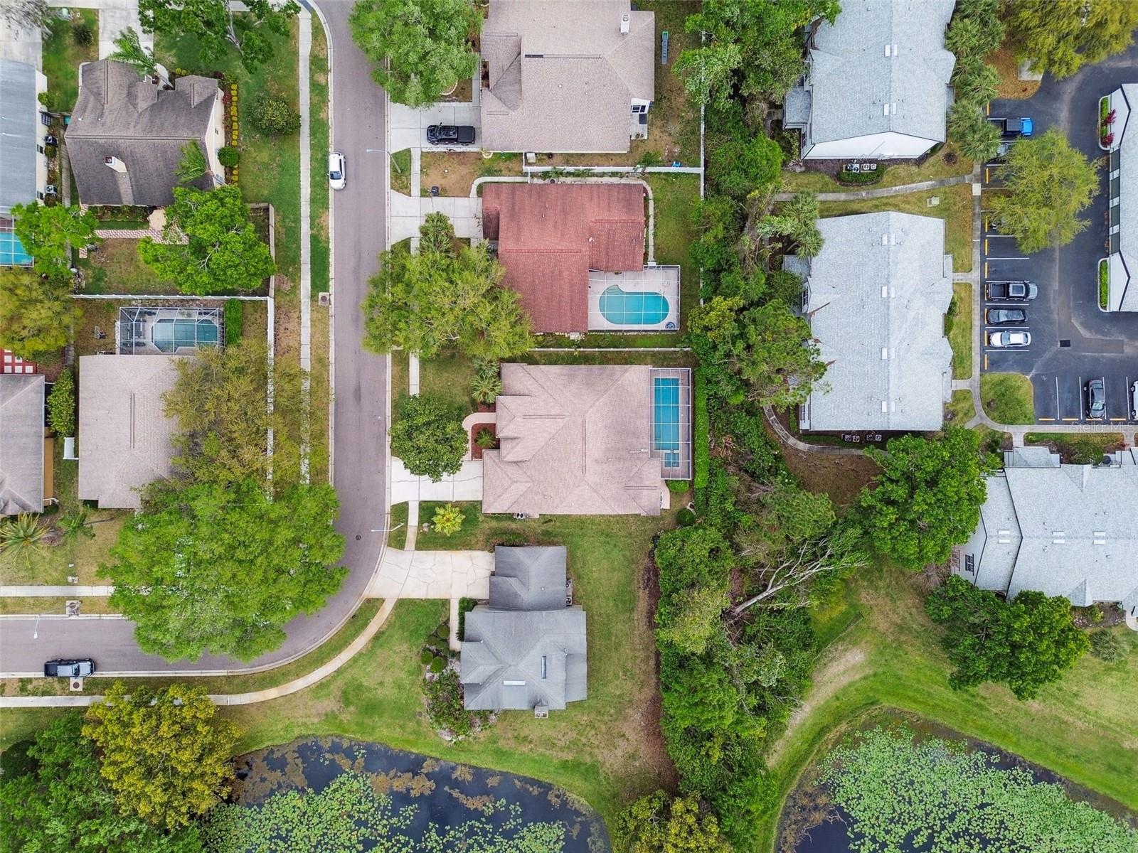 4874 EAGLE COVE SOUTH DR, PALM HARBOR, FL, 34685