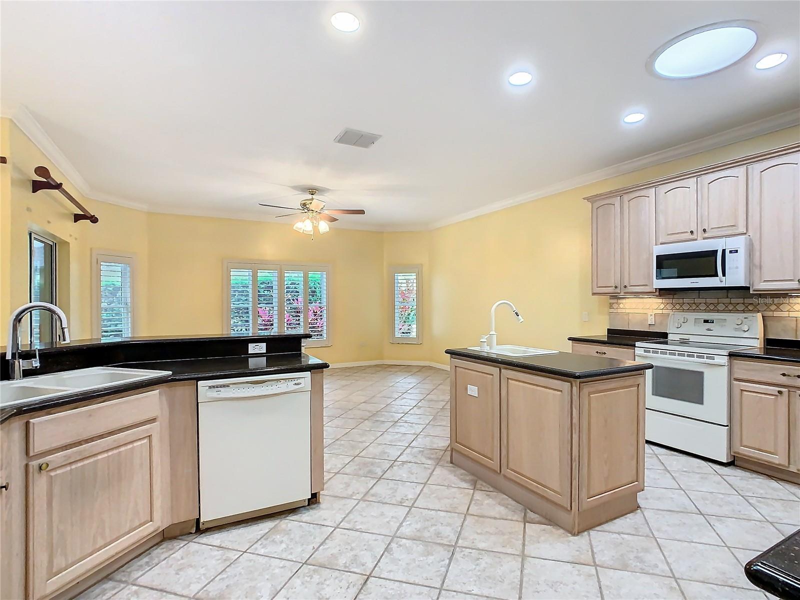 100 VENTANA DR, KISSIMMEE, FL, 34759