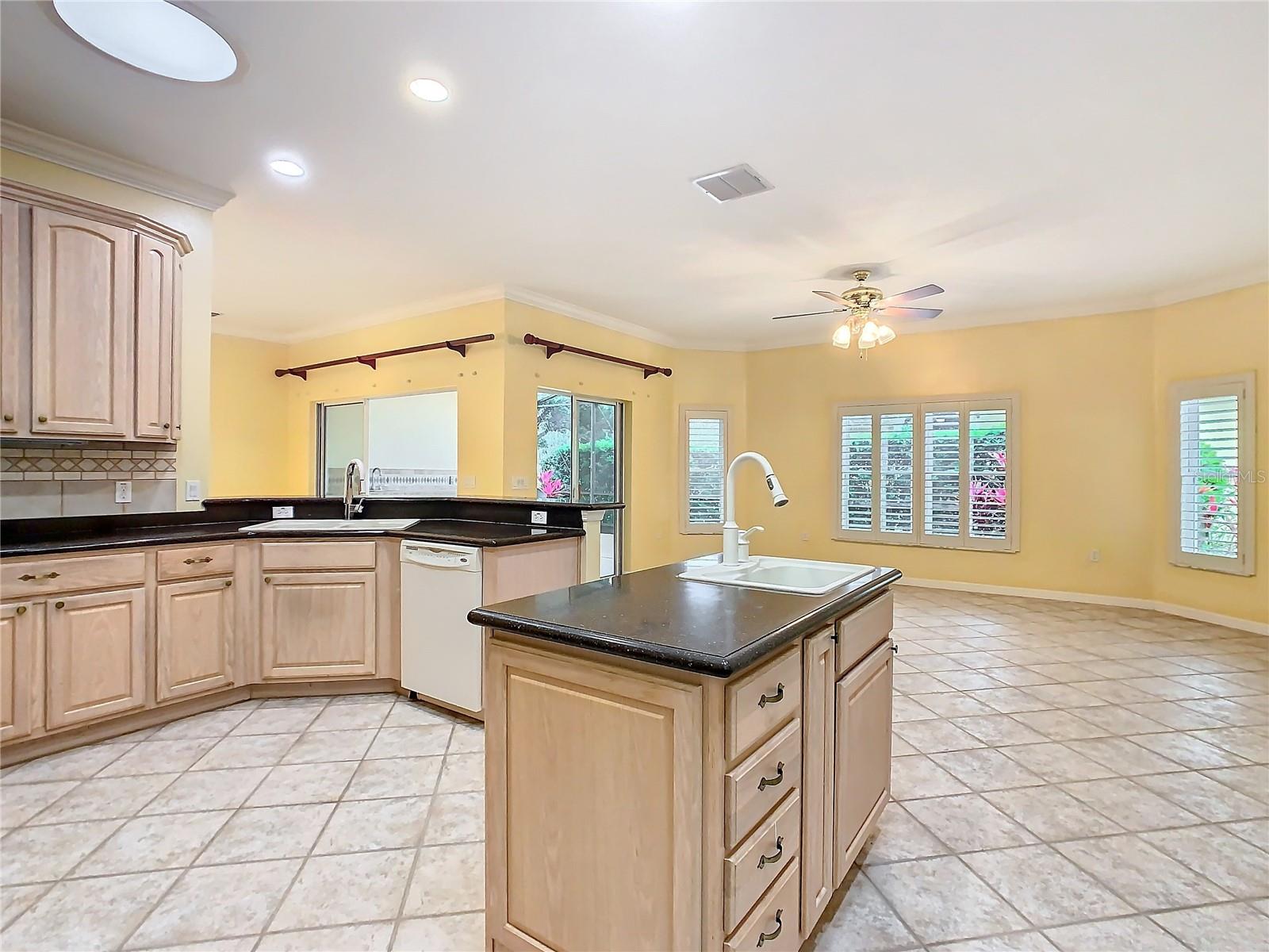 100 VENTANA DR, KISSIMMEE, FL, 34759