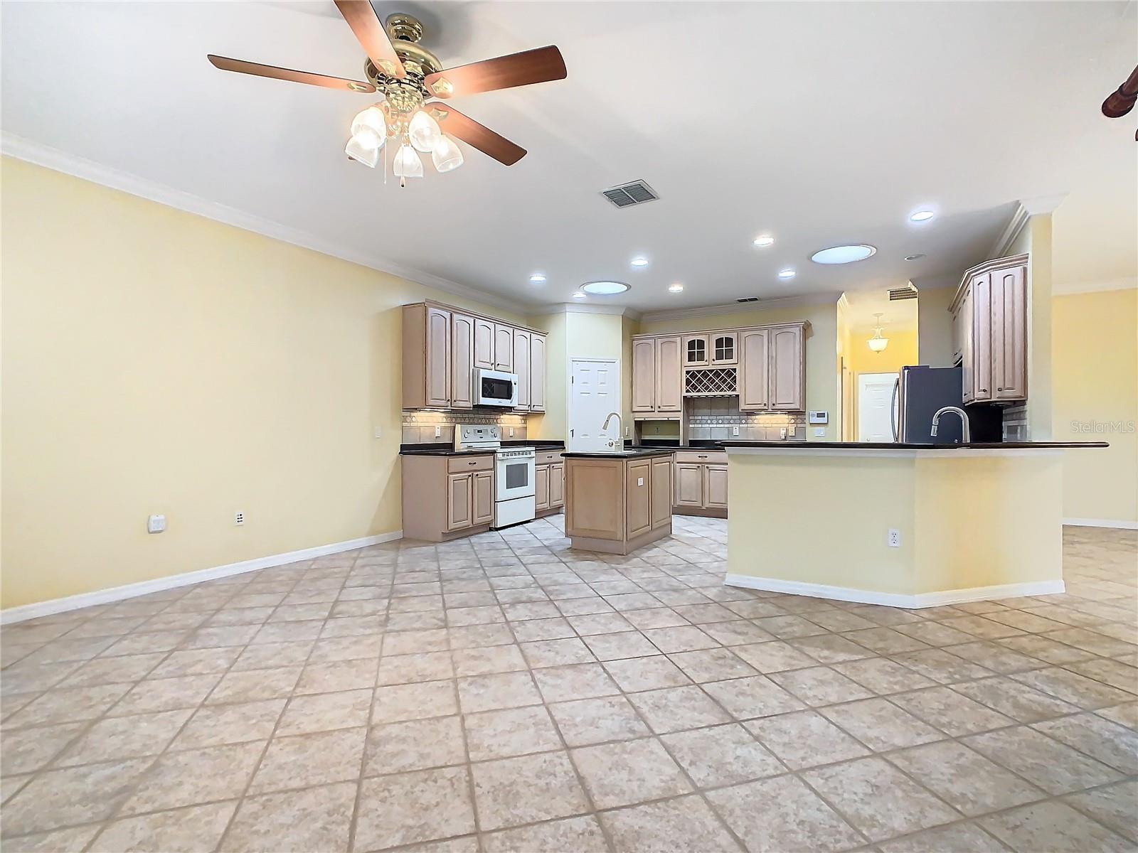 100 VENTANA DR, KISSIMMEE, FL, 34759