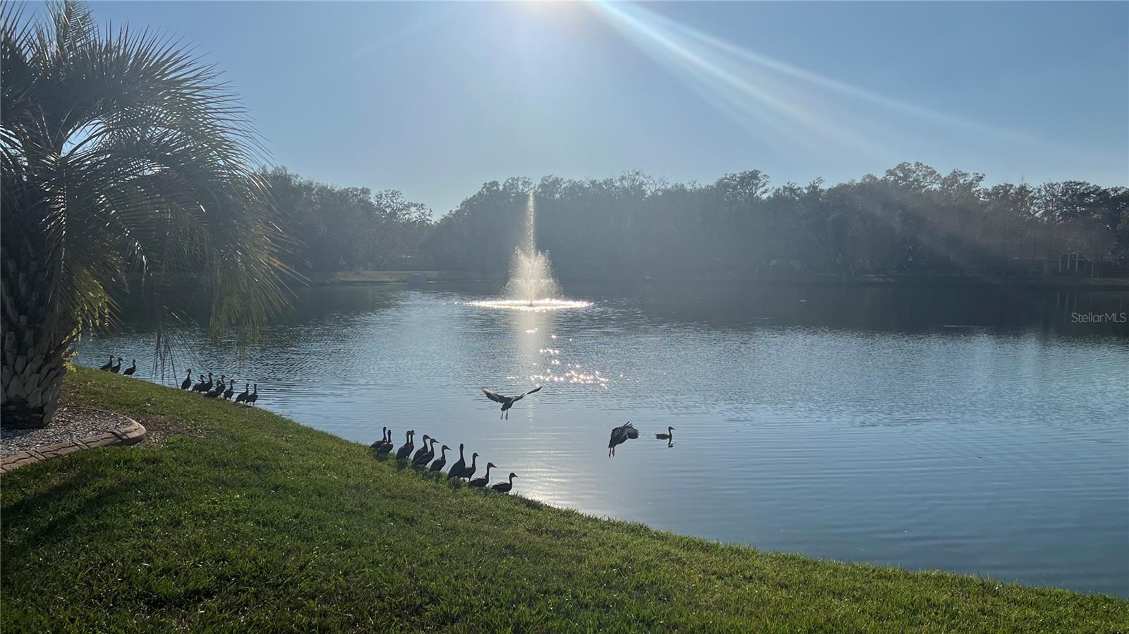 3017 MINUTEMAN LN, BRANDON, FL, 33511