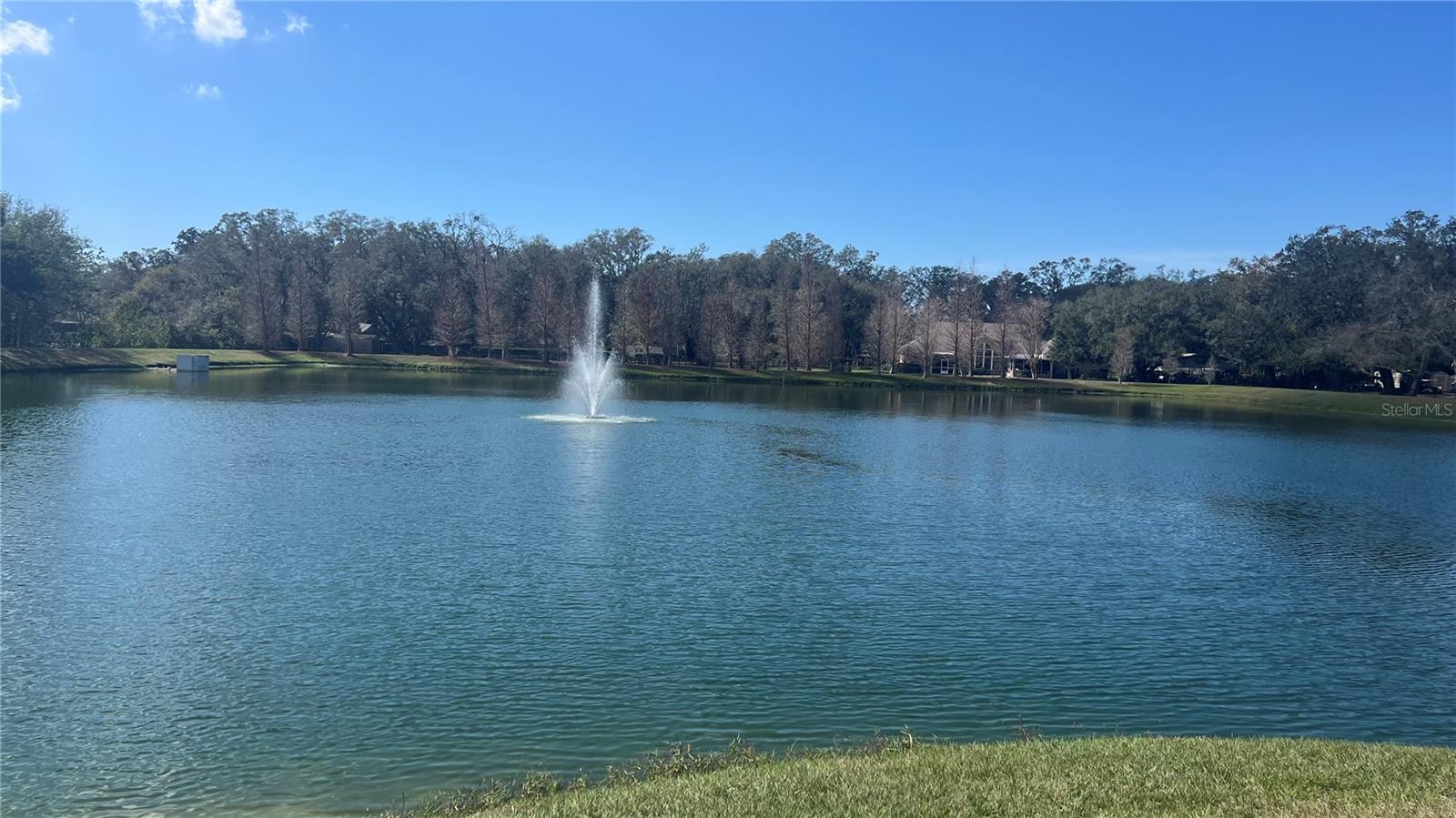 3017 MINUTEMAN LN, BRANDON, FL, 33511