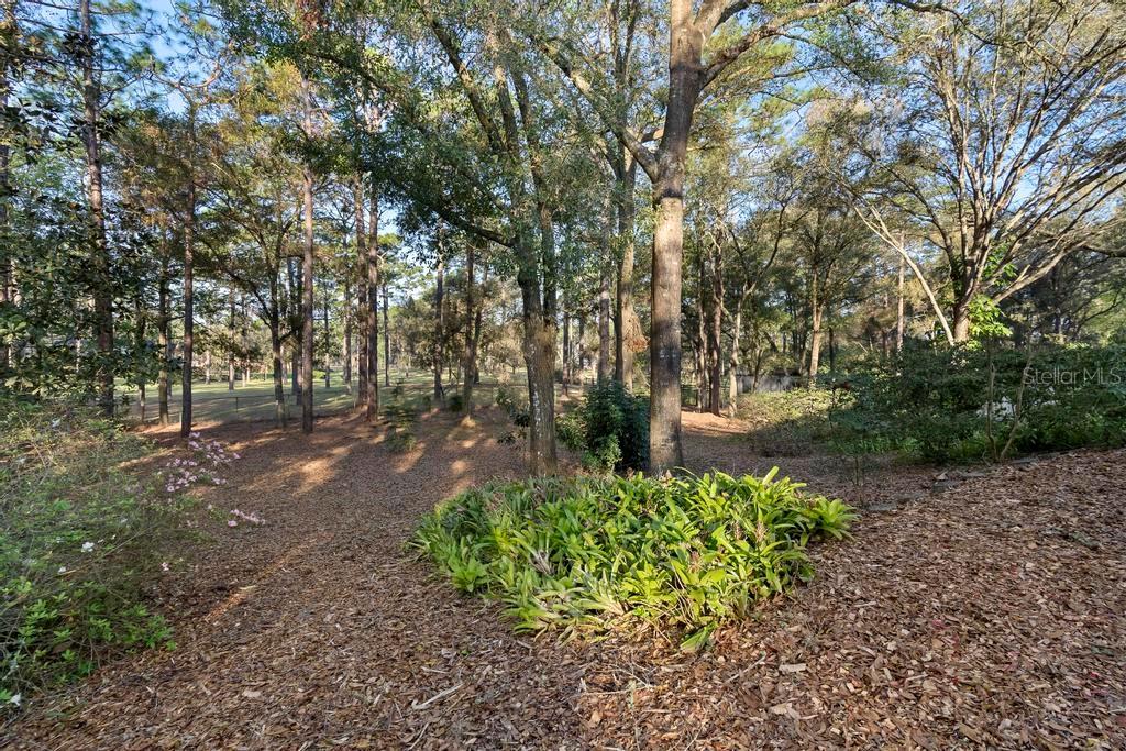 1552 COVERED BRIDGE DR, DELAND, FL, 32724