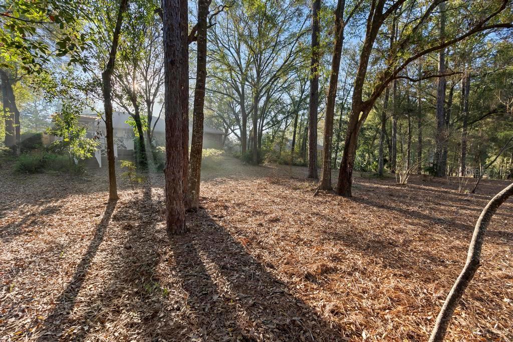 1552 COVERED BRIDGE DR, DELAND, FL, 32724