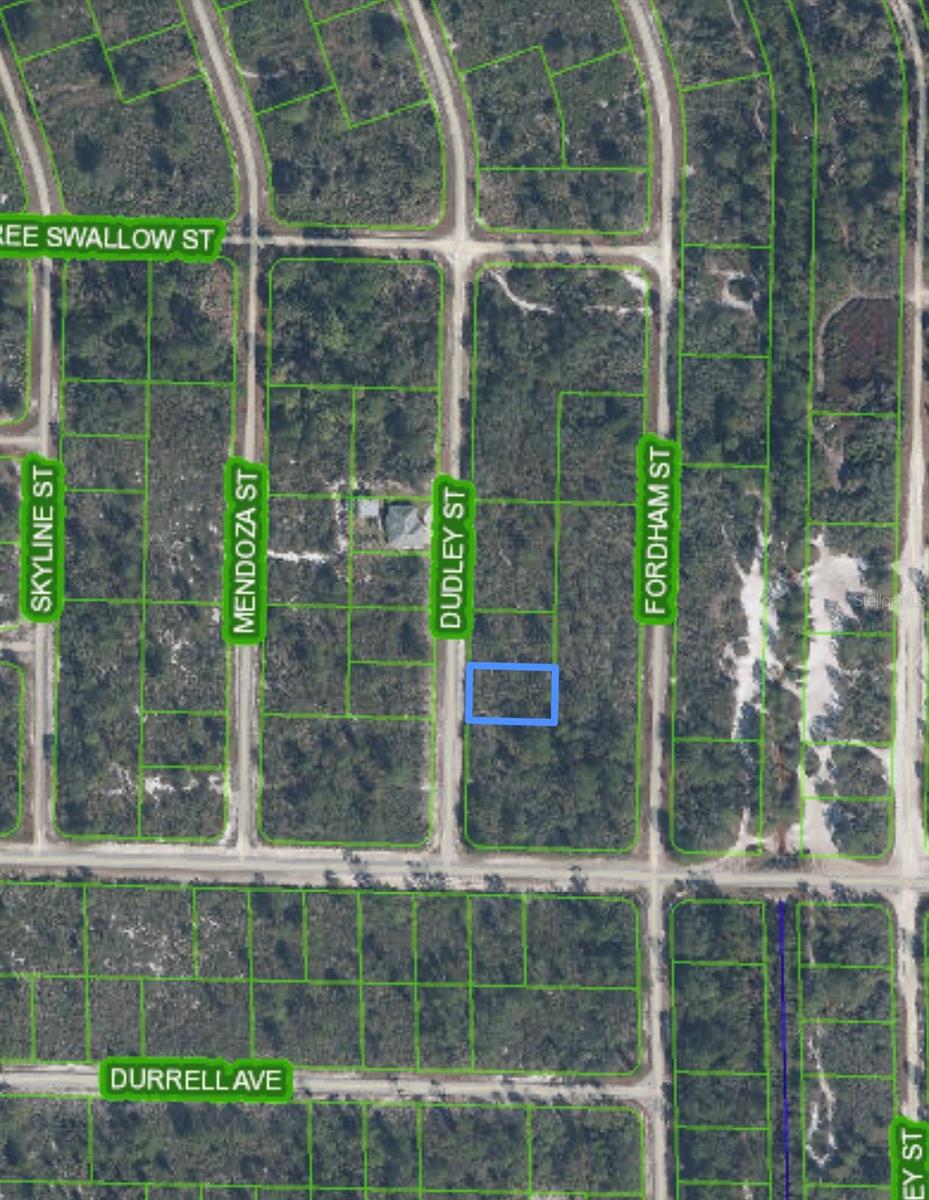 1105 RAMIRO ST, LAKE PLACID, FL, 33852