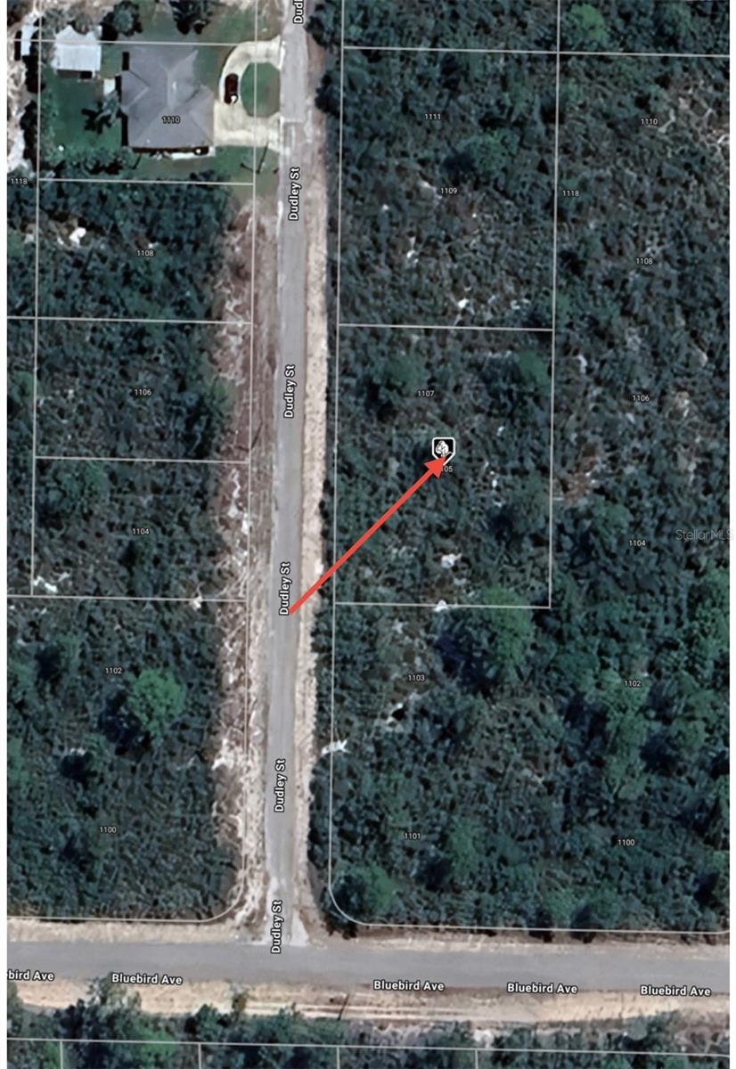 1105 RAMIRO ST, LAKE PLACID, FL, 33852