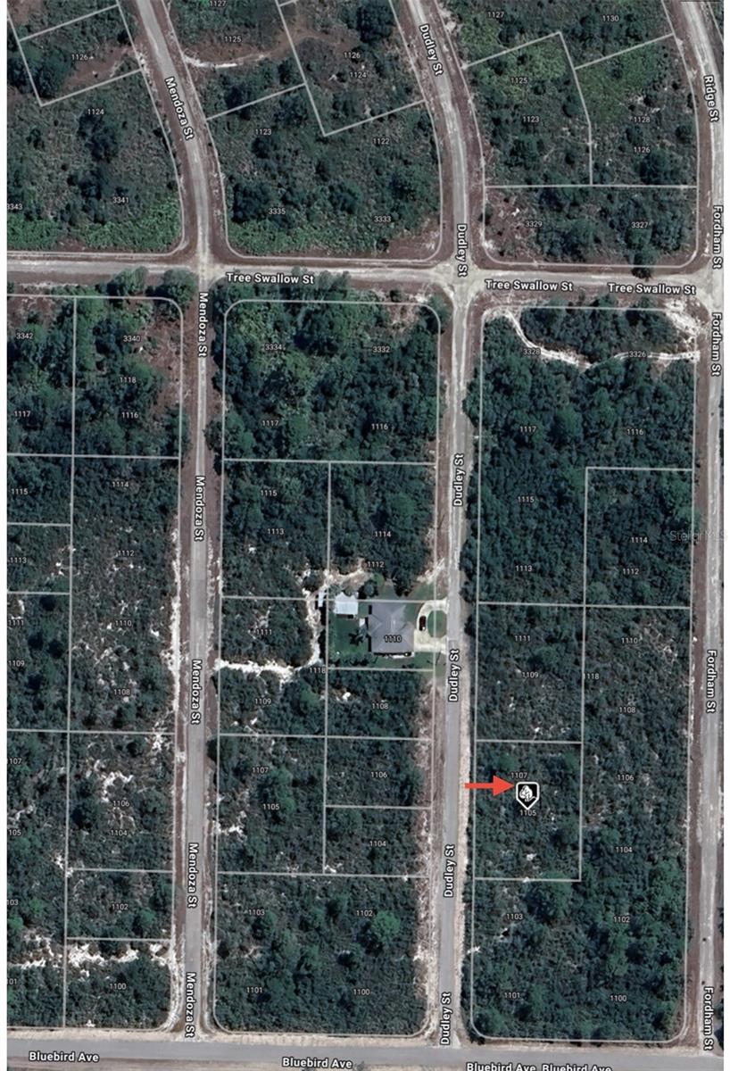 1105 RAMIRO ST, LAKE PLACID, FL, 33852