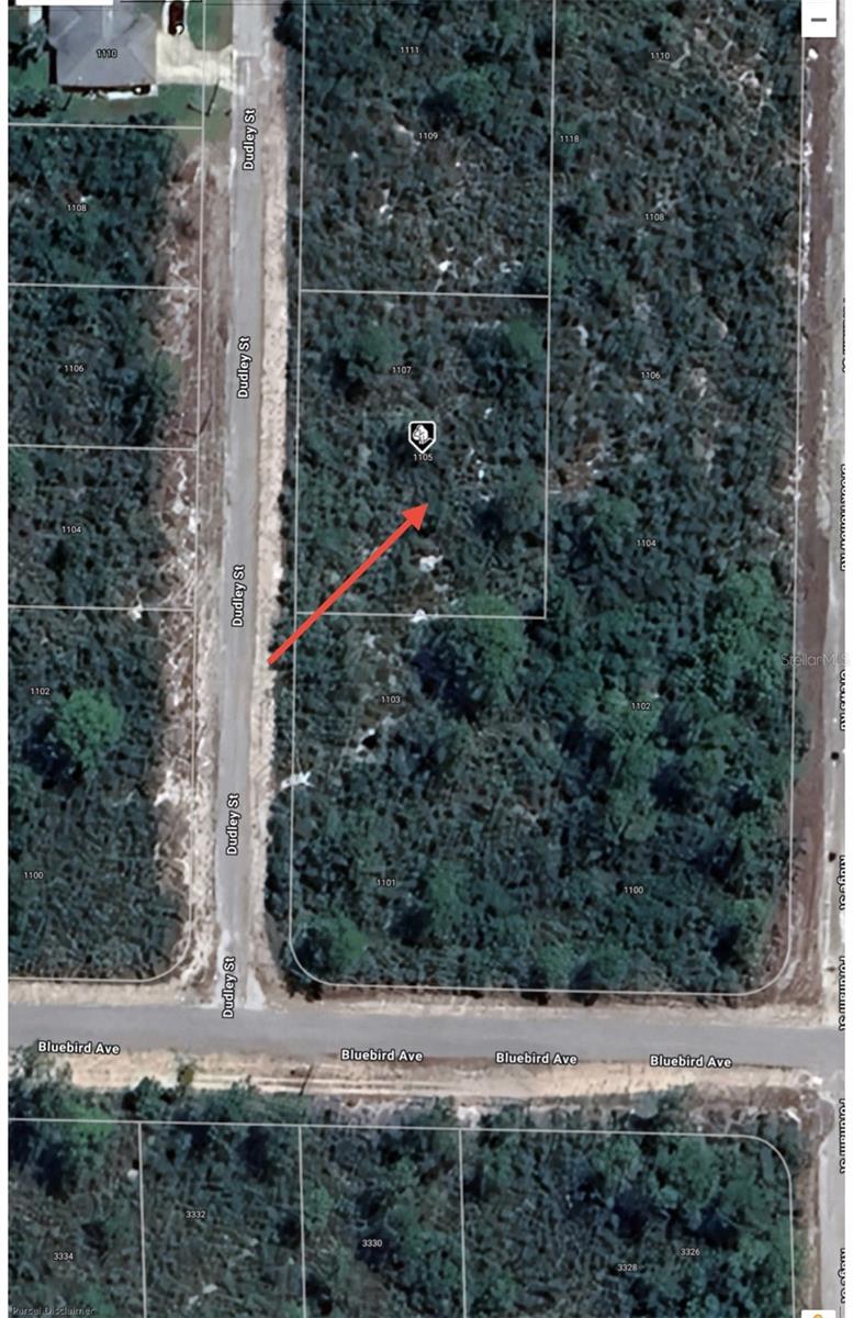 1105 RAMIRO ST, LAKE PLACID, FL, 33852