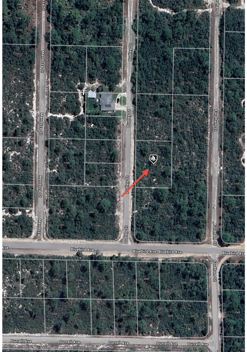 1105 RAMIRO ST, LAKE PLACID, FL, 33852