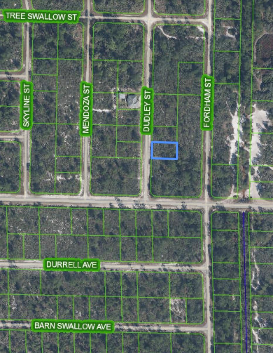 1105 RAMIRO ST, LAKE PLACID, FL, 33852