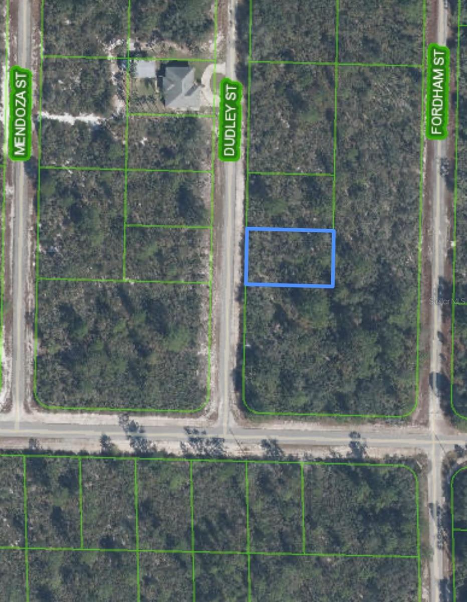 1105 RAMIRO ST, LAKE PLACID, FL, 33852