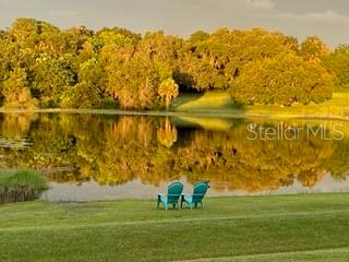 534 TWO LAKES LN, EUSTIS, FL, 32726