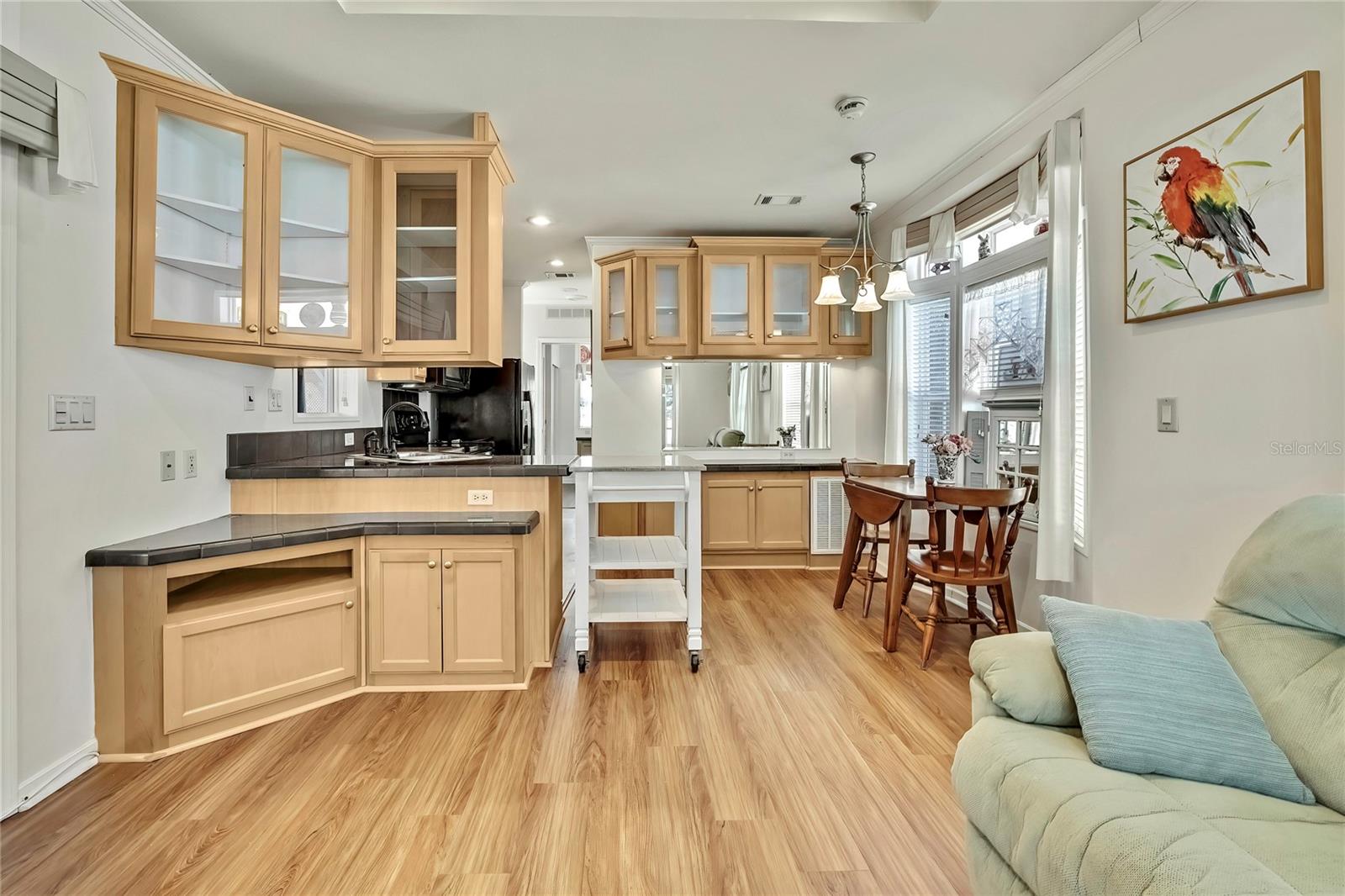 9448 COUGAR DR, WEEKI WACHEE, FL, 34613