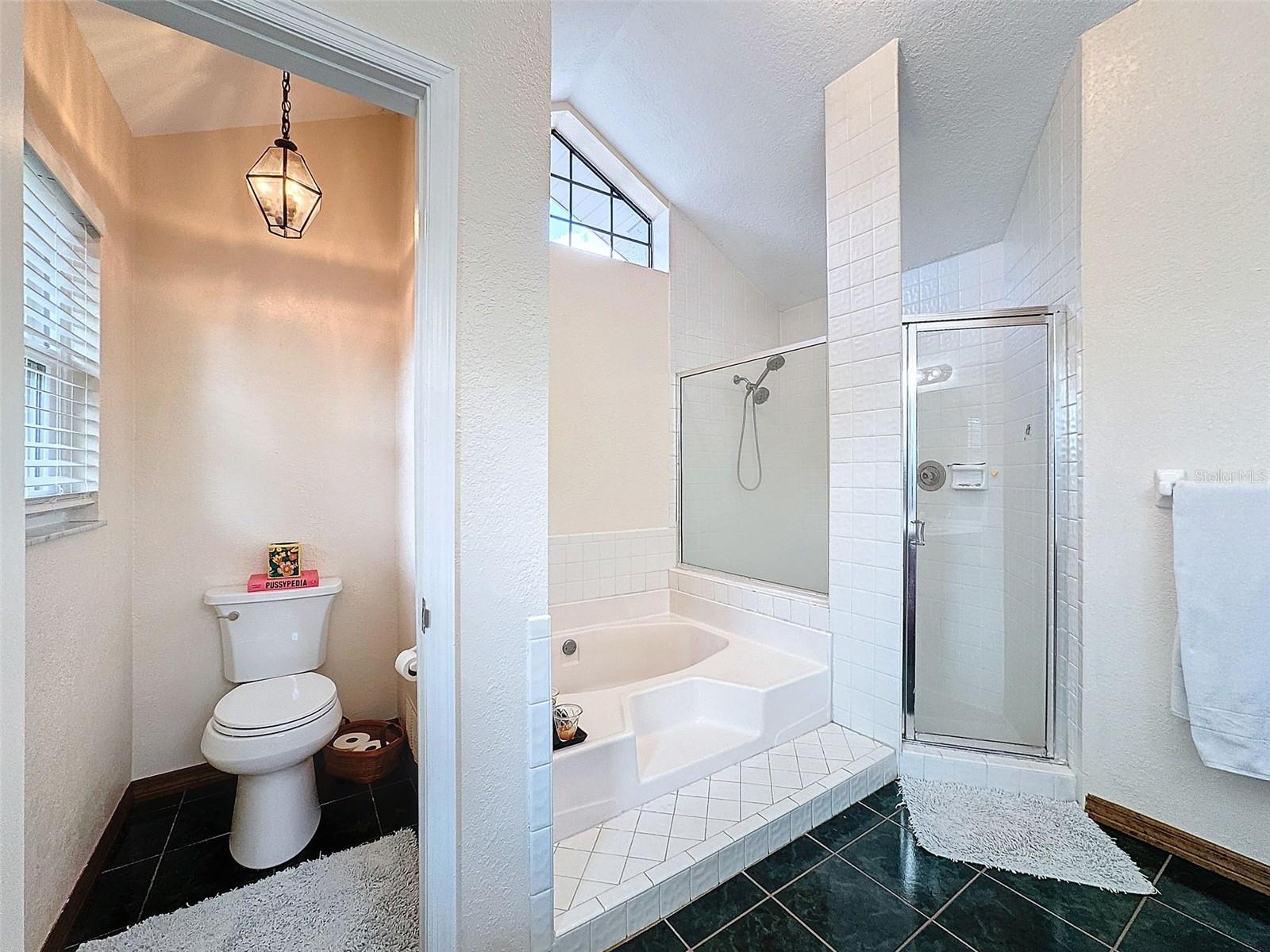 8032 SPRING HILL DR, SPRING HILL, FL, 34606