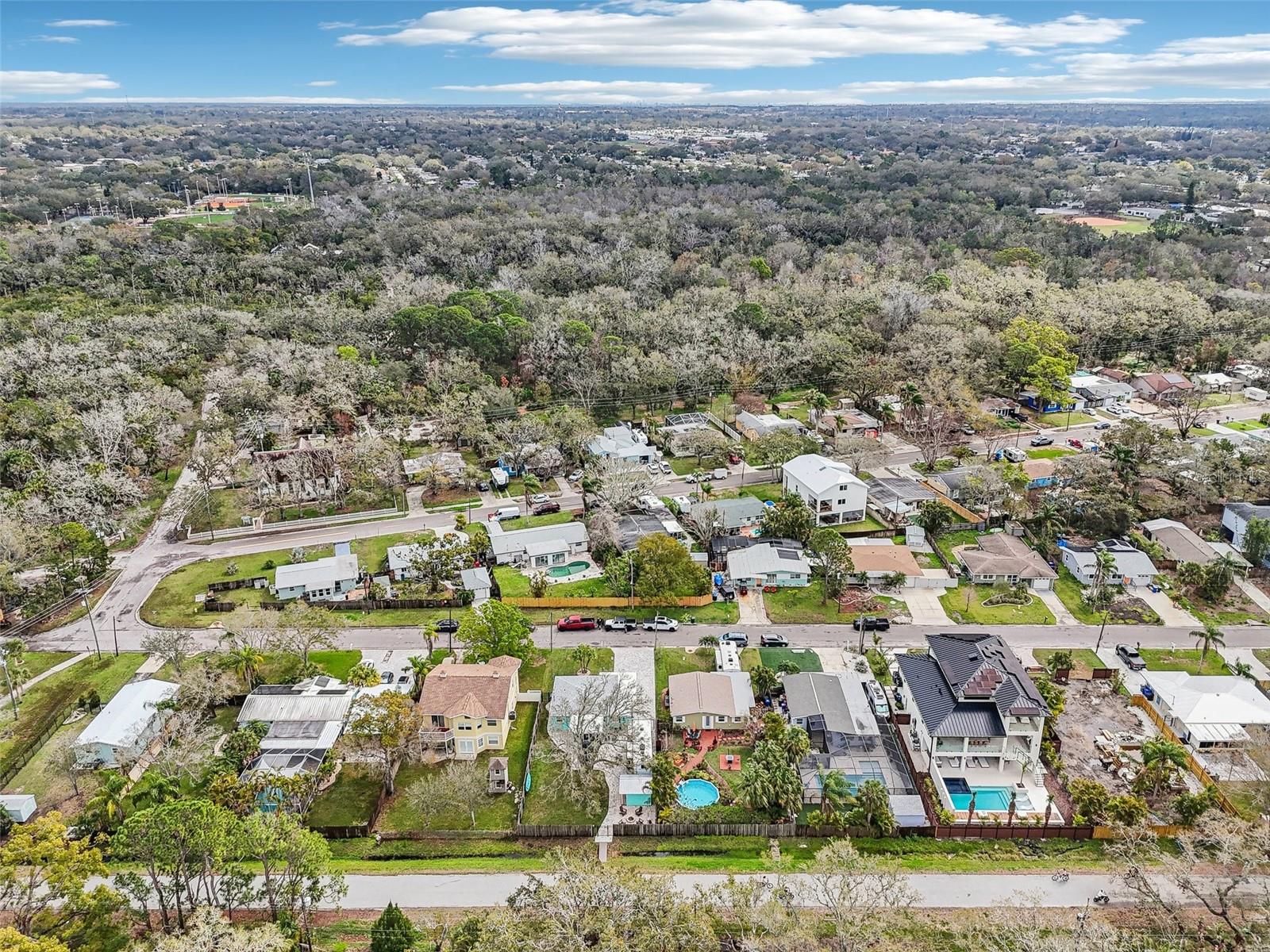 1868 DOUGLAS AVE, DUNEDIN, FL, 34698