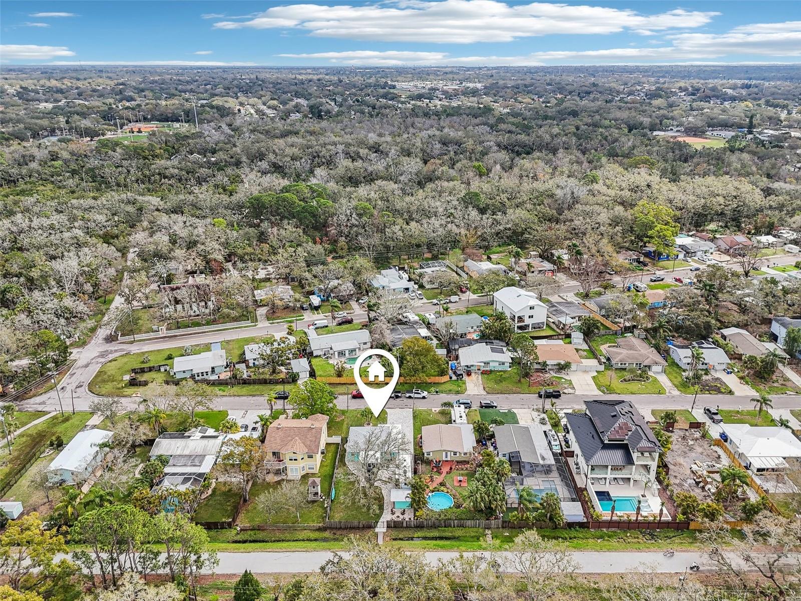 1868 DOUGLAS AVE, DUNEDIN, FL, 34698