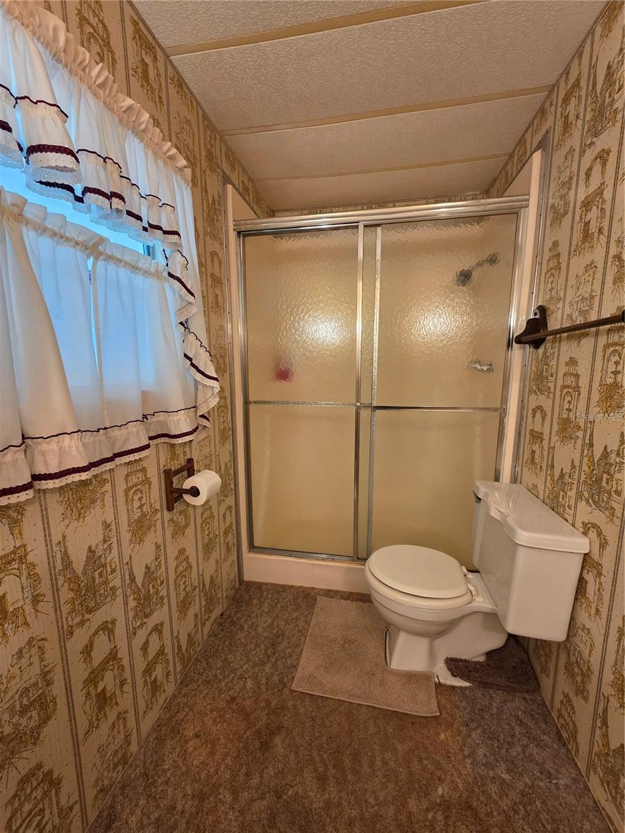 36831 GRACE AVE, ZEPHYRHILLS, FL, 33542