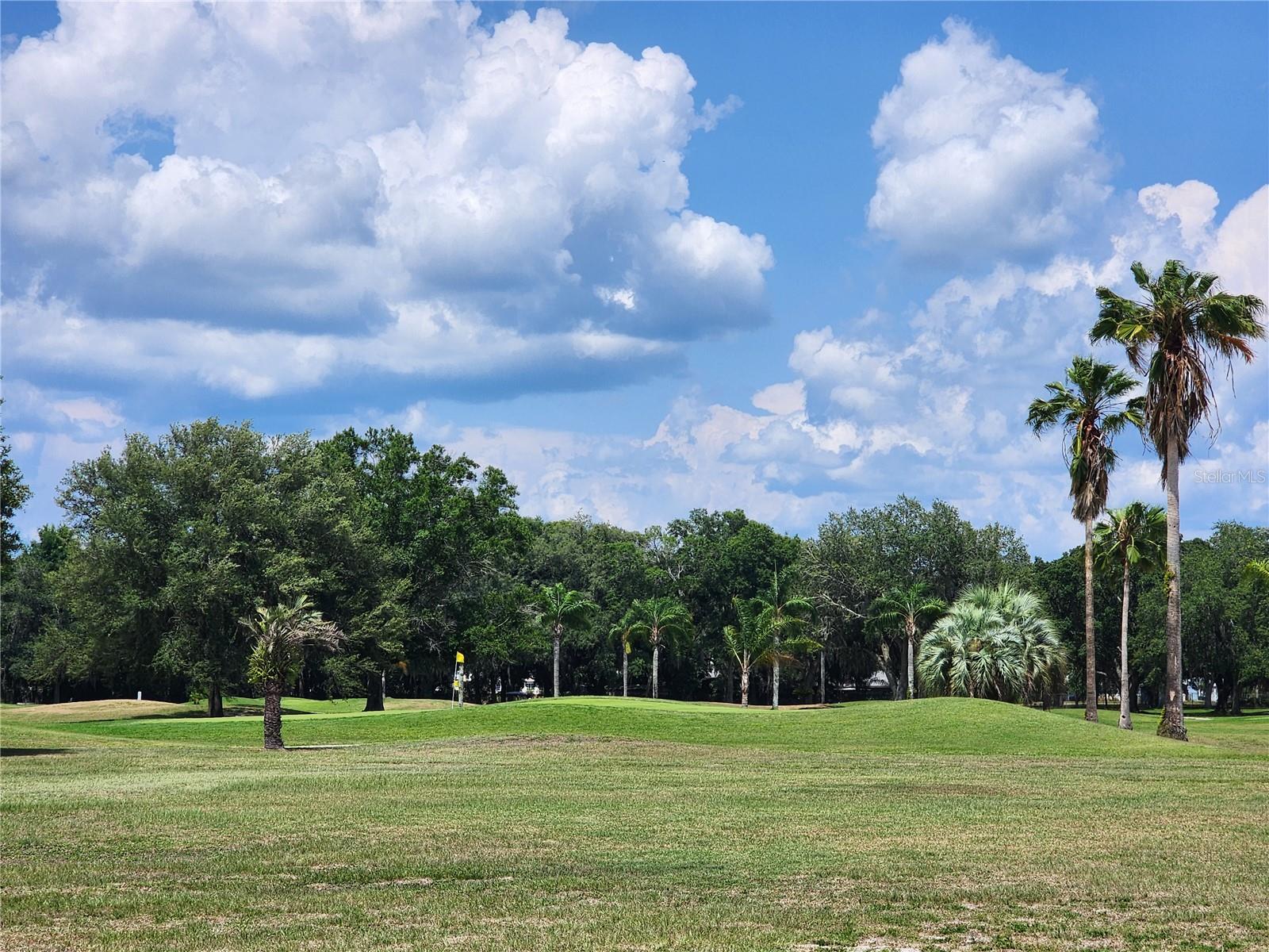 36831 GRACE AVE, ZEPHYRHILLS, FL, 33542