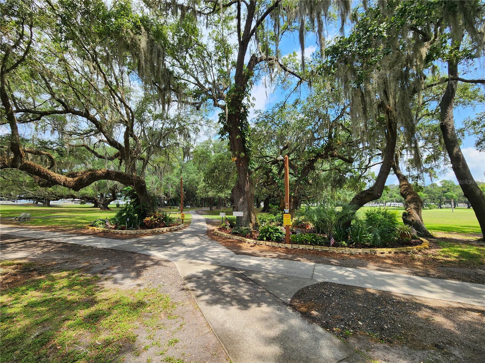 36831 GRACE AVE, ZEPHYRHILLS, FL, 33542