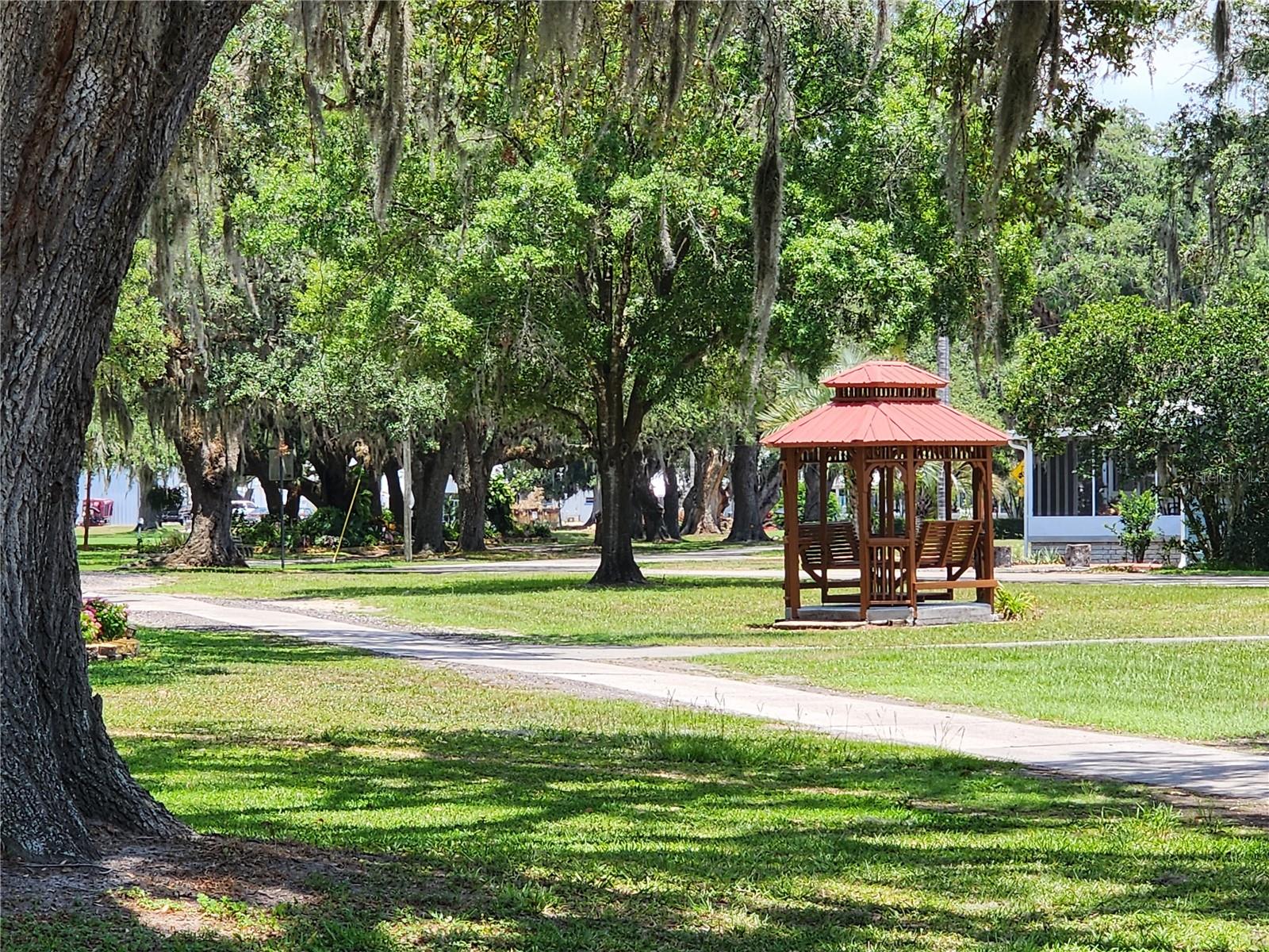 36831 GRACE AVE, ZEPHYRHILLS, FL, 33542