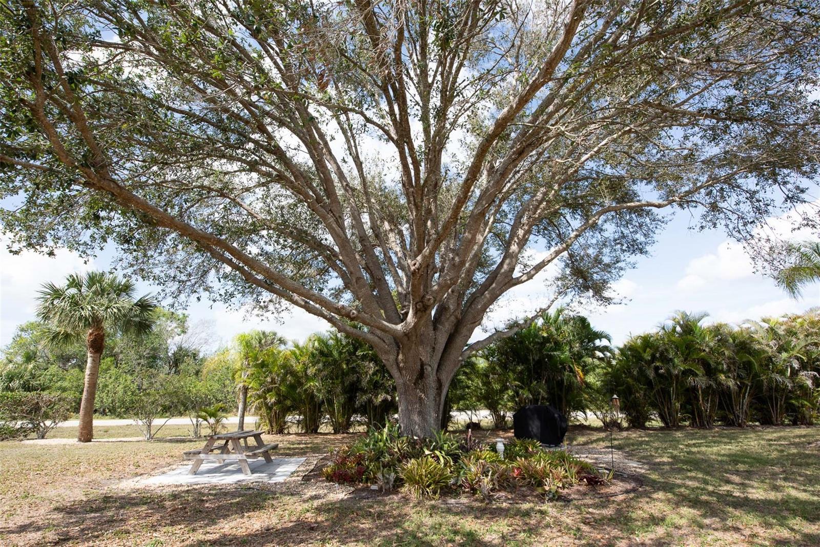 12144 SW EGRET CIR #605, LAKE SUZY, FL, 34269