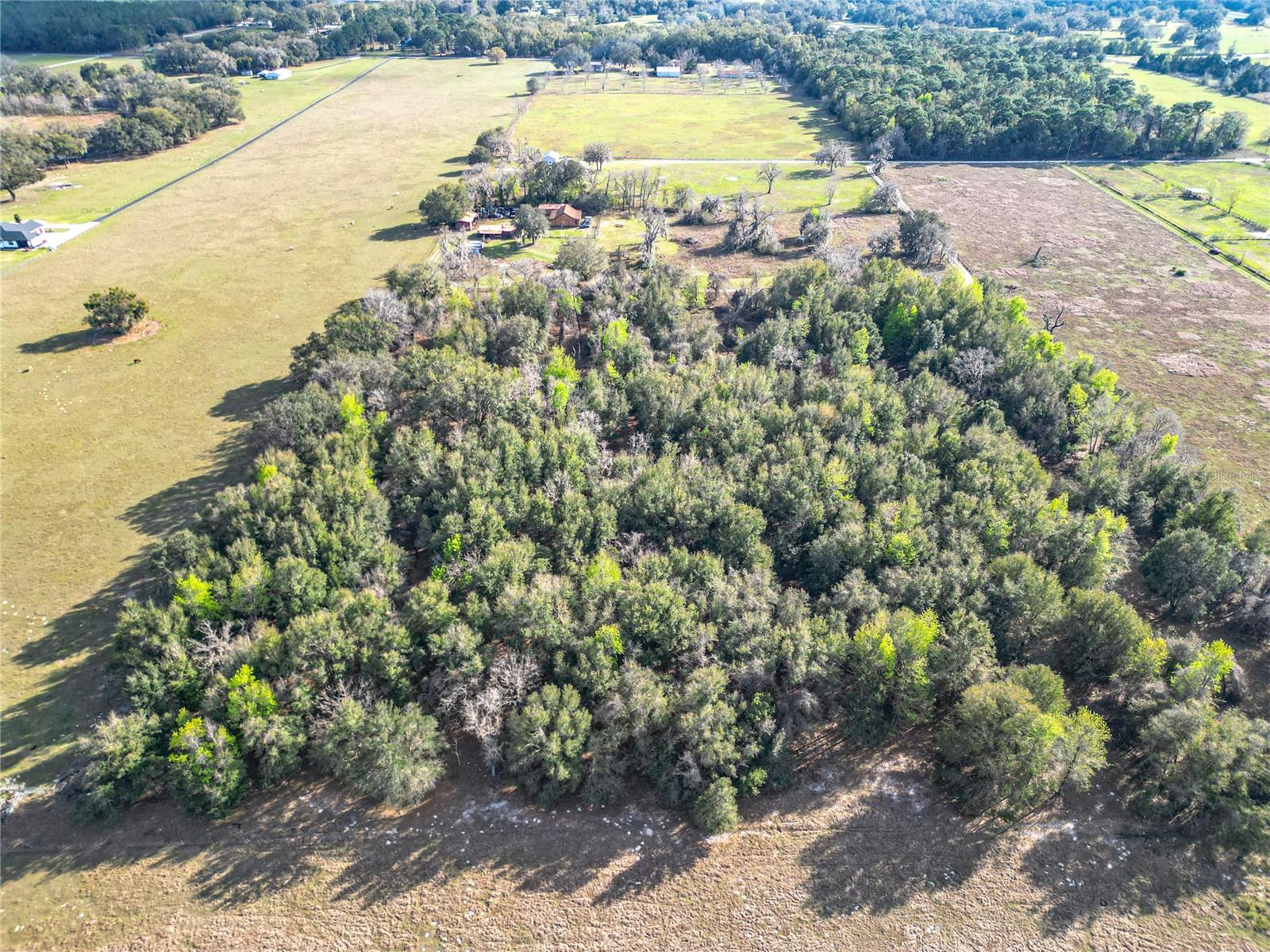 0 NW 122ND AVE, OXFORD, FL, 34484