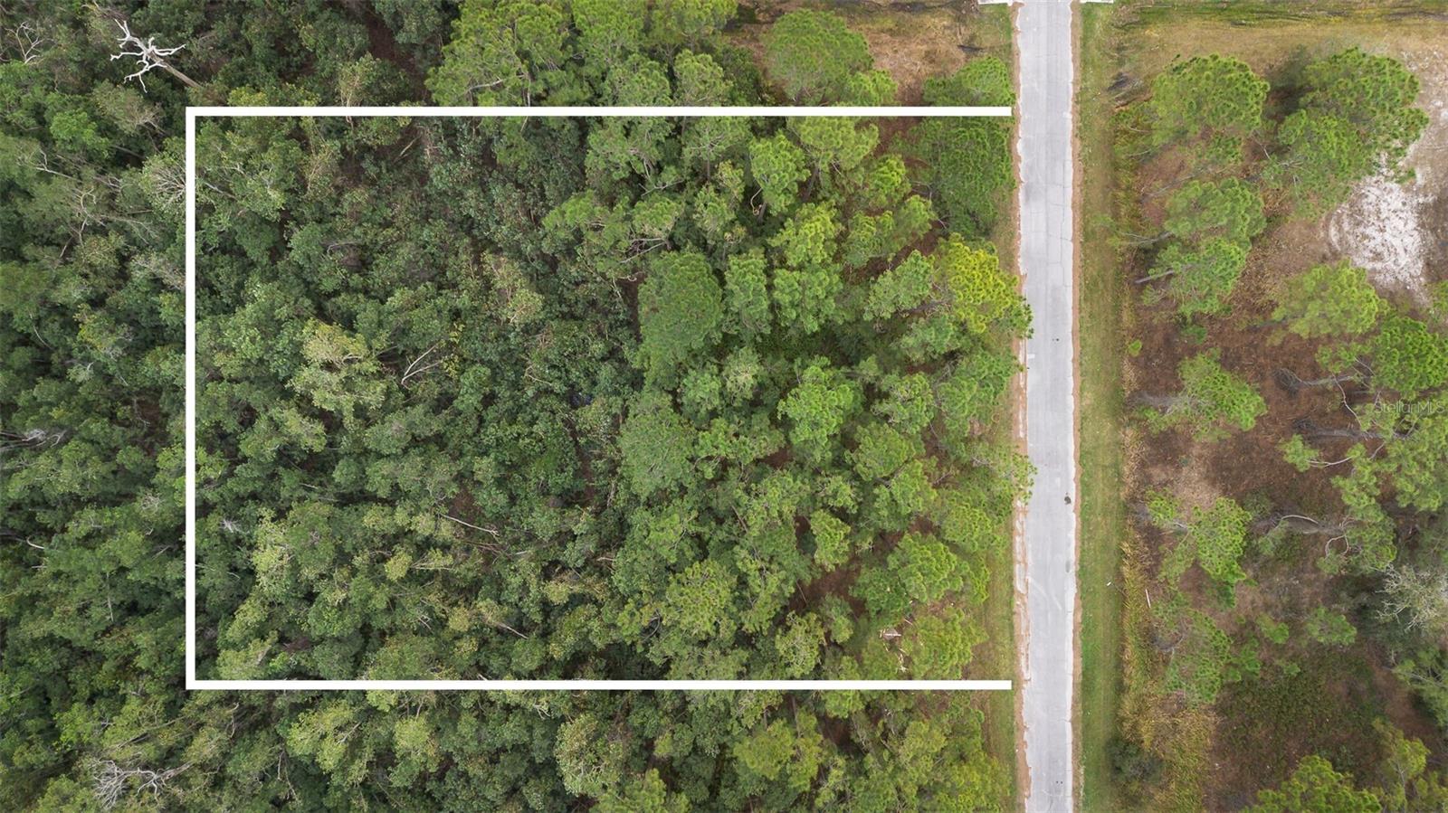 1550 MARLIN DR, KISSIMMEE, FL, 34759