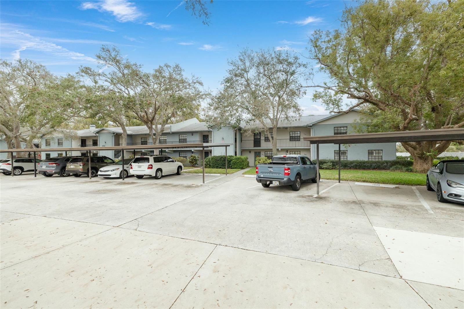 11800 PARK BLVD #505, SEMINOLE, FL, 33772