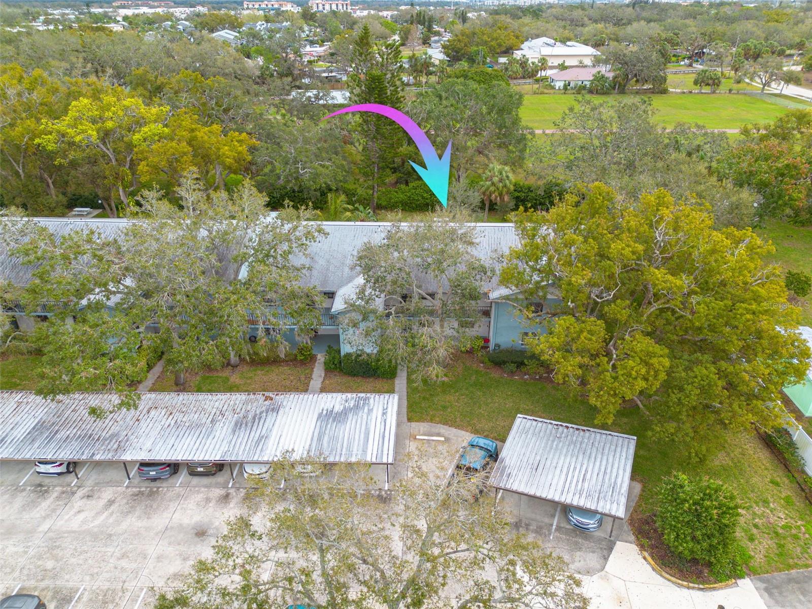 11800 PARK BLVD #505, SEMINOLE, FL, 33772