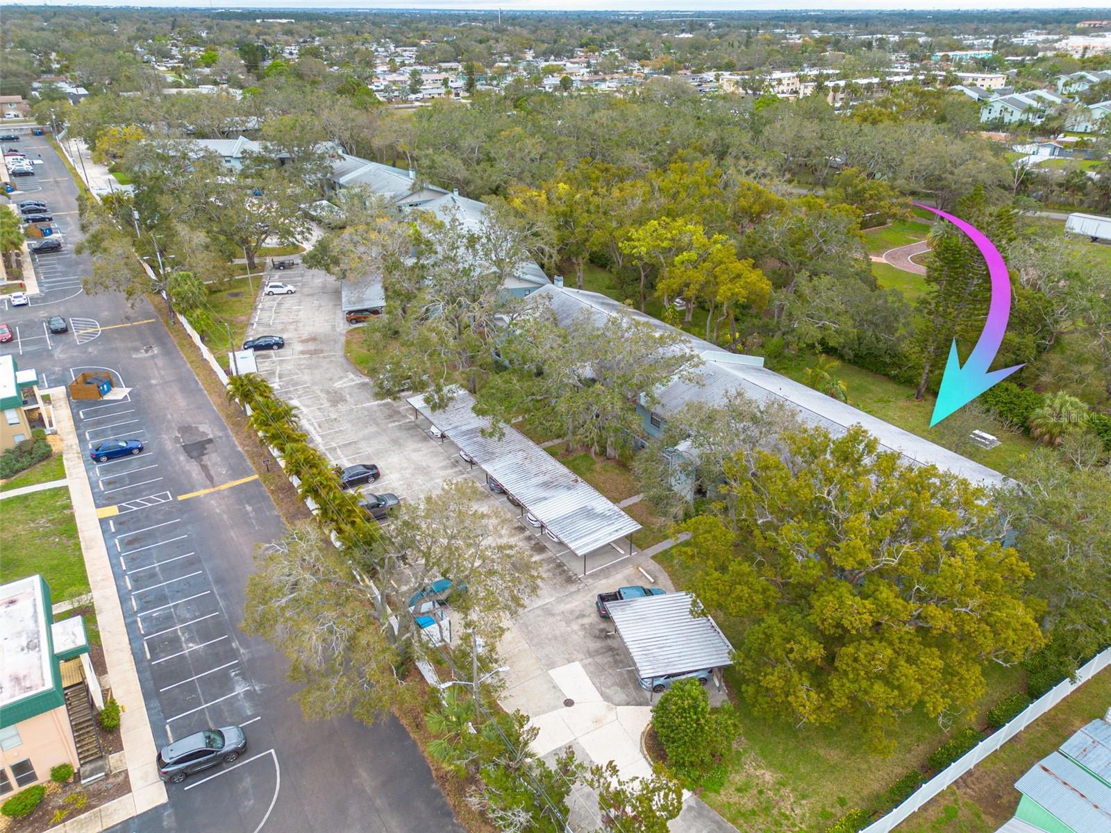 11800 PARK BLVD #505, SEMINOLE, FL, 33772