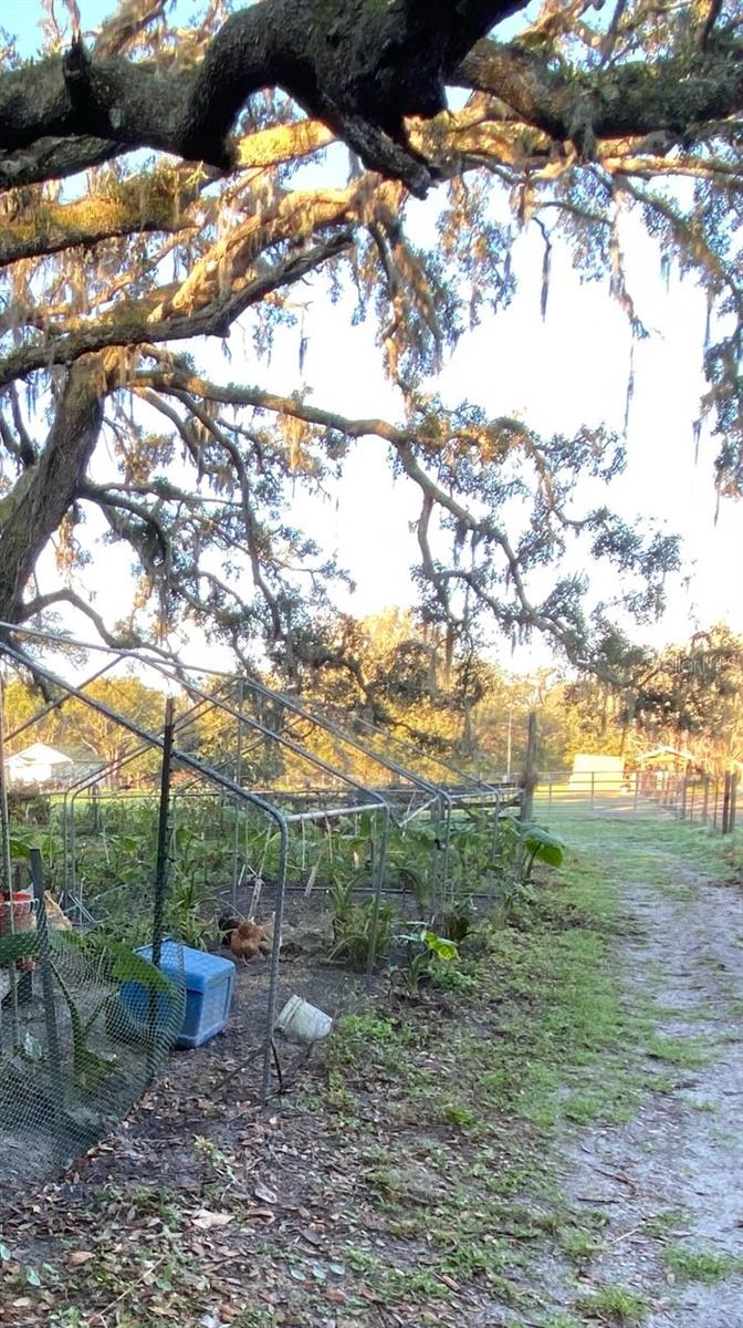 226 BENES RD, BROOKSVILLE, FL, 34604
