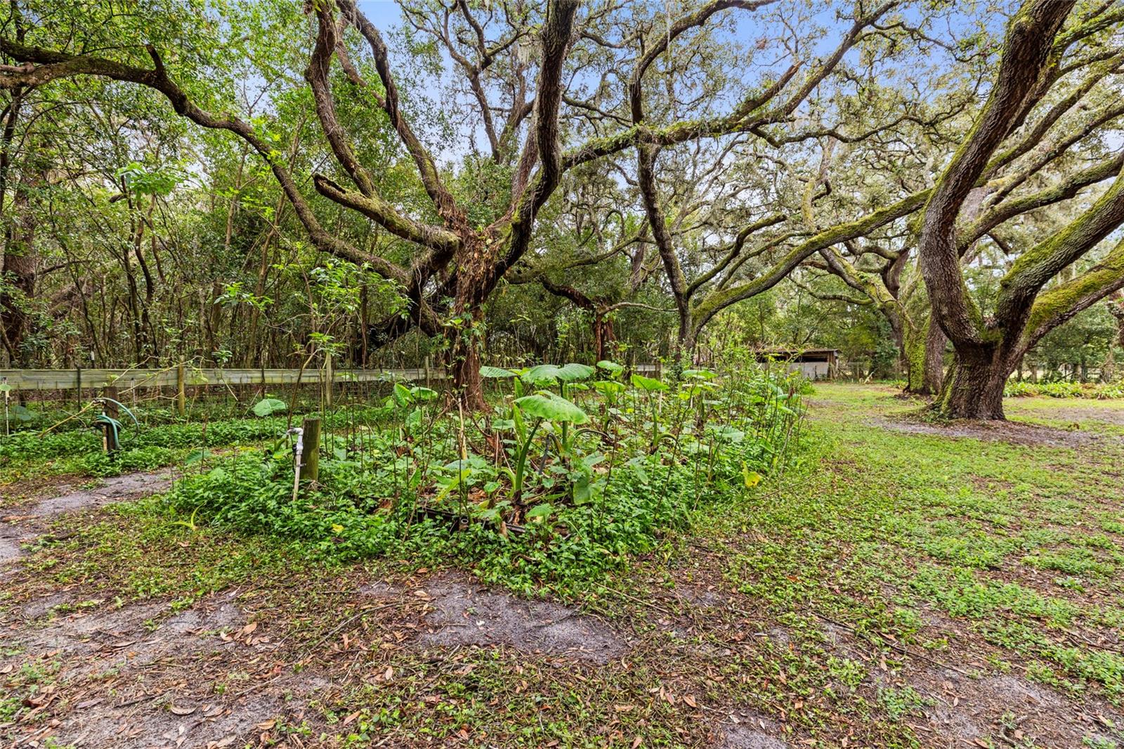 226 BENES RD, BROOKSVILLE, FL, 34604