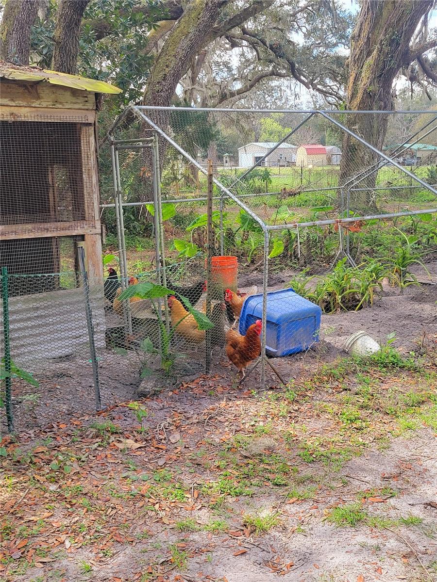 226 BENES RD, BROOKSVILLE, FL, 34604