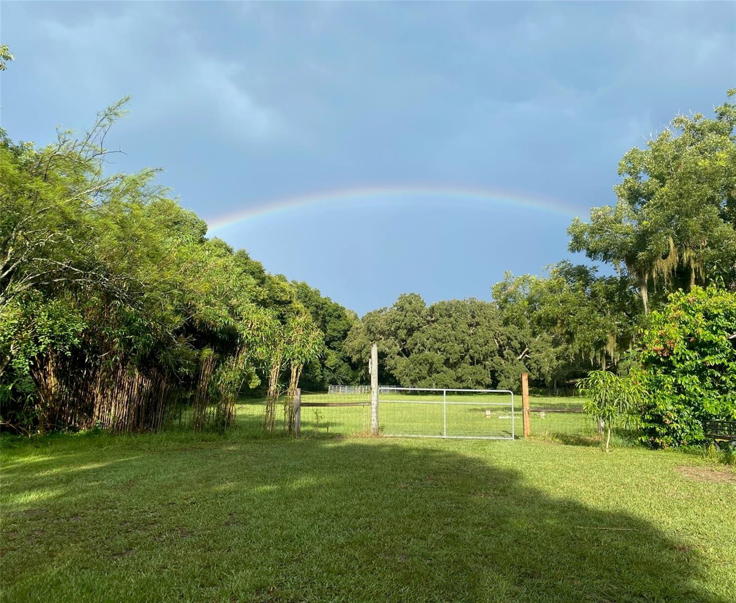 226 BENES RD, BROOKSVILLE, FL, 34604