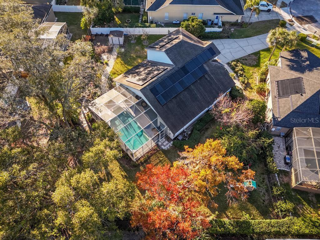 607 GOLDEN DAWN LN, APOPKA, FL, 32712